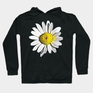 Denmark Flower Marguerite Daisy Argyranthemum Frutescens Pattern Hoodie